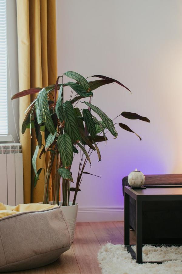 Color Apartments Corneliu Coposu 1A Street 부쿠레슈티 외부 사진